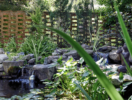 A pond with flowing water in a serene setting