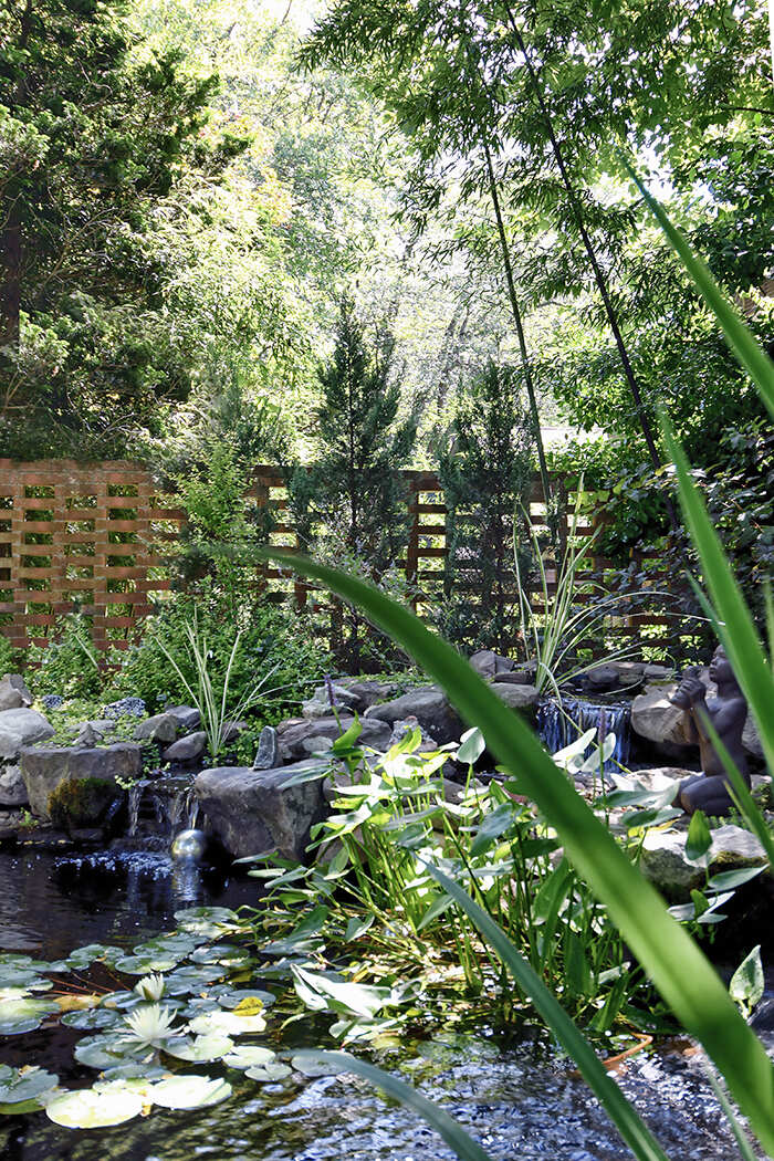 A pond with a waterfall surrounded by plants in a serene environment